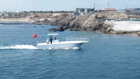 Bestyear 10,5 m großes Fischerboot mit Mittelkonsole